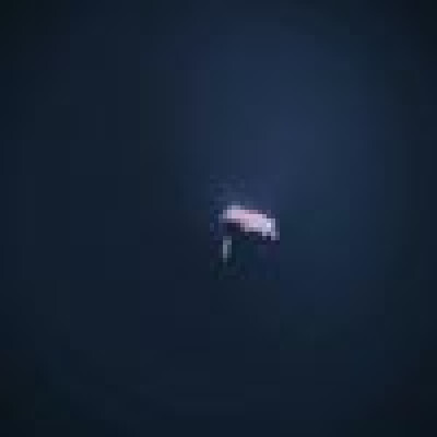 KICHAN is looking for a Room in Groningen
