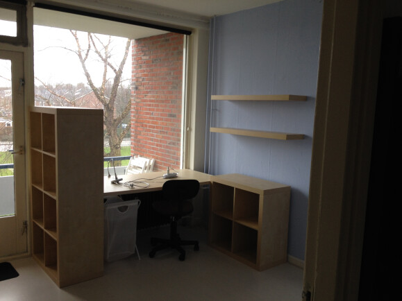 Nice room with a lot of natural light