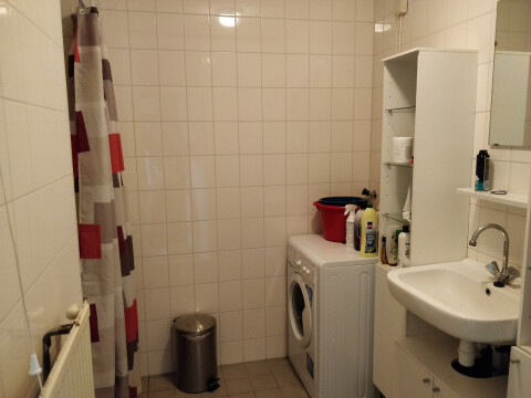 gedeelde badkamer met douche  wasmachine iom andere huurder